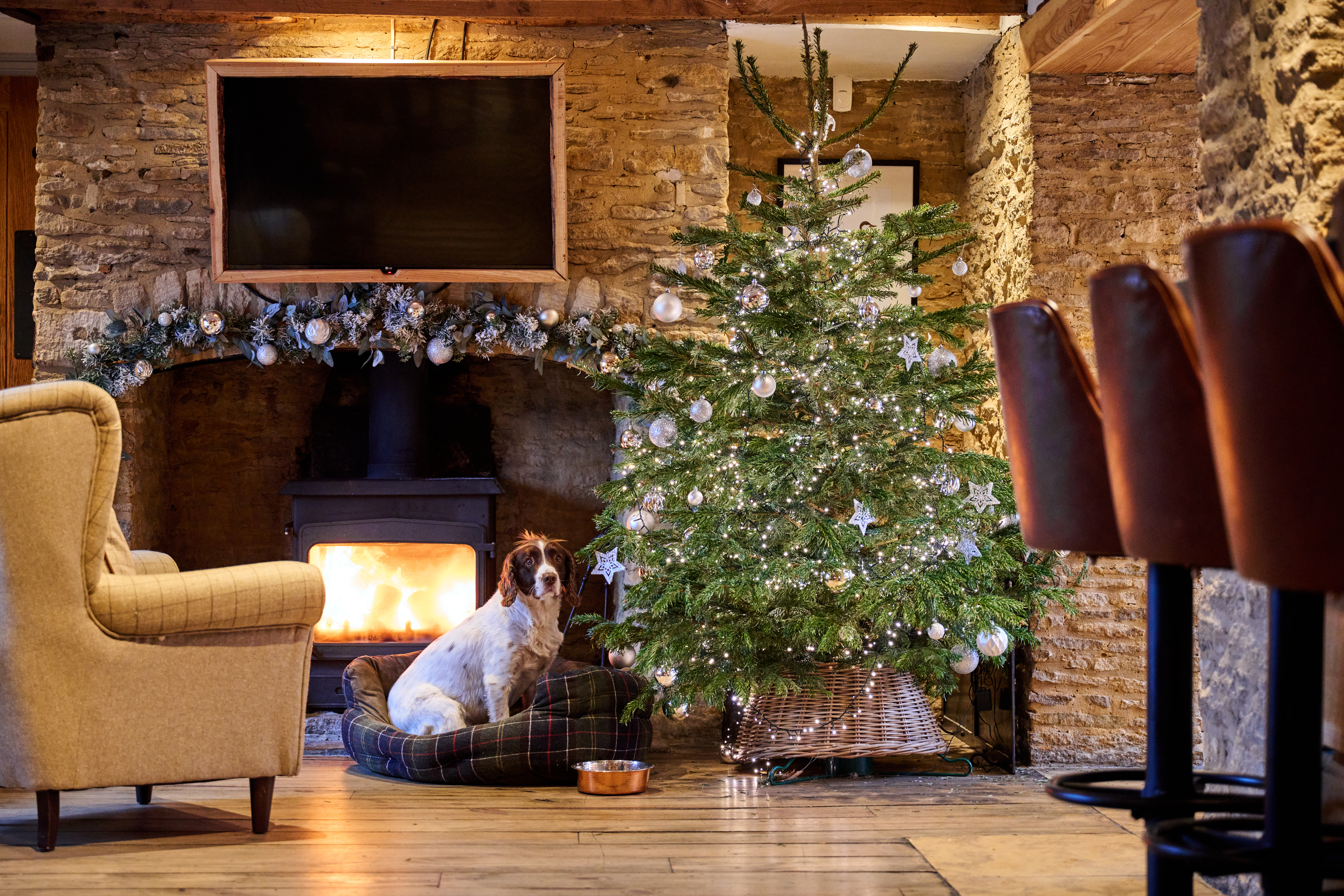 Dog sitting by a decorated Christmas tree and a lit fireplace in a cozy room with stone walls and wooden flooring. - Wild Thyme & Honey Hotel in the Cotswolds