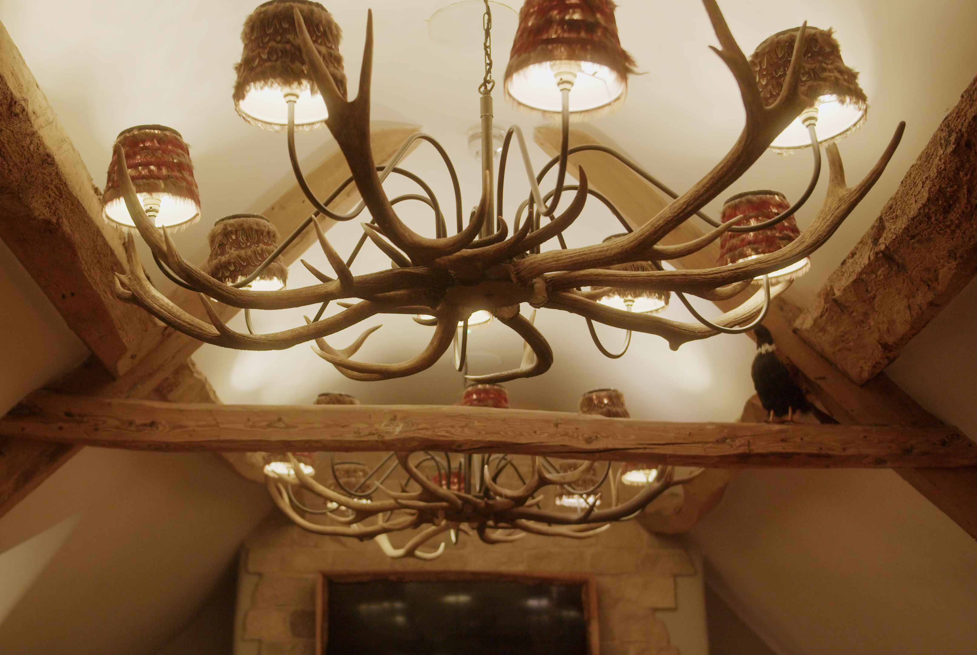 An antler chandelier with multiple lights hangs from a rustic wooden ceiling in a cozy room. - Wild Thyme & Honey Hotel in the Cotswolds