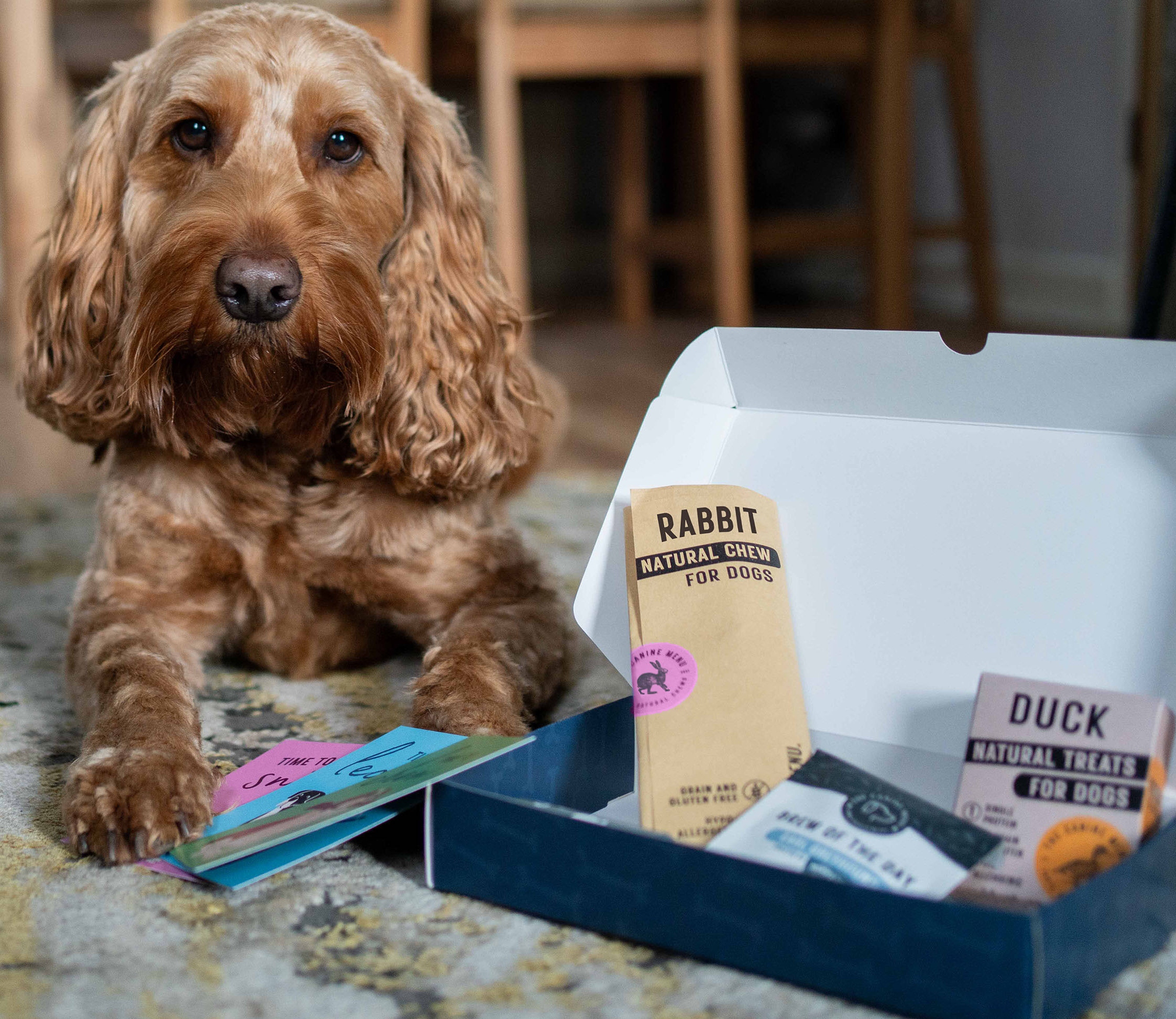 Wild Thyme and Honey - Wild Thyme & Honey Hotel in the Cotswolds