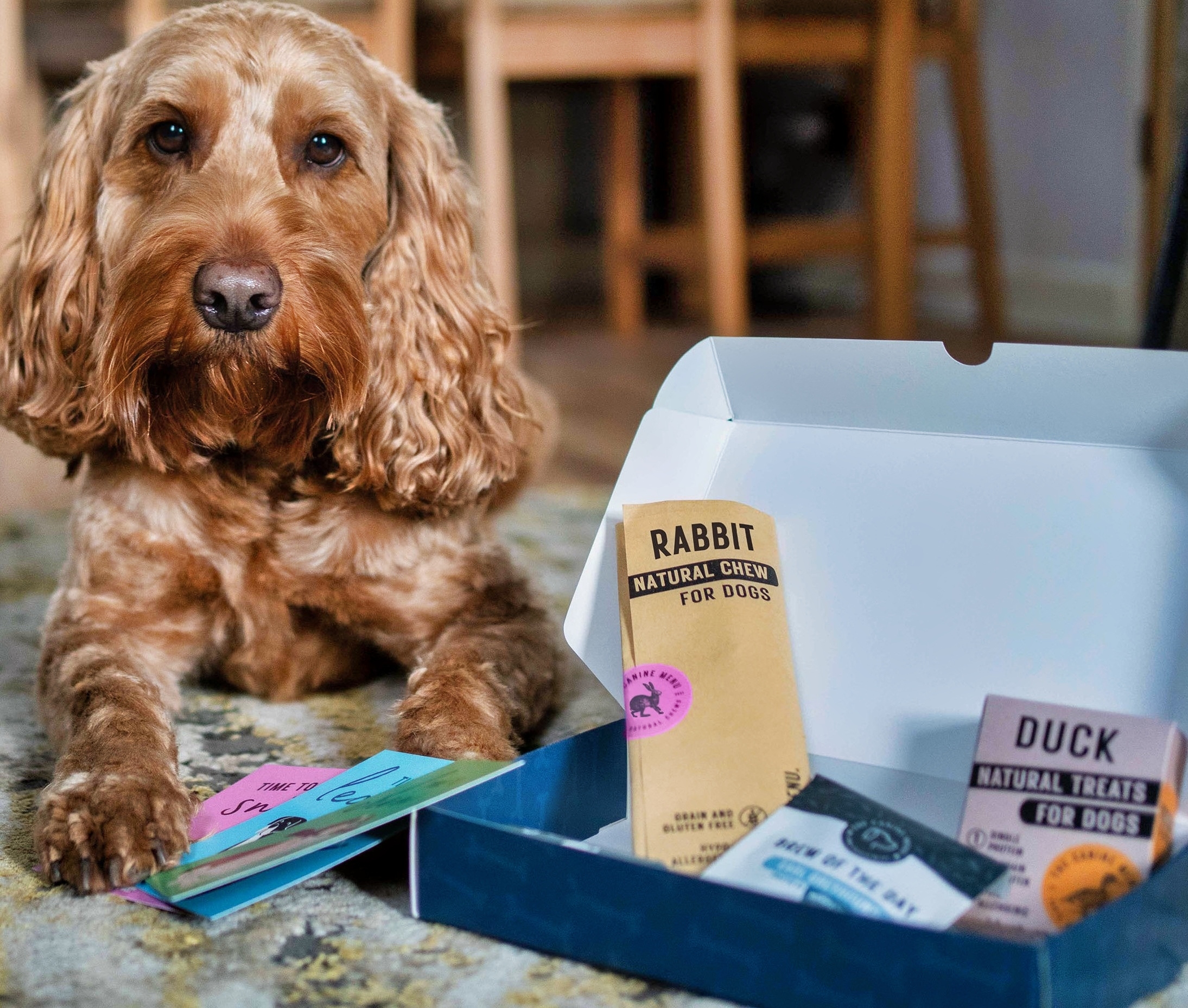 Wild Thyme and Honey - Wild Thyme & Honey Hotel in the Cotswolds