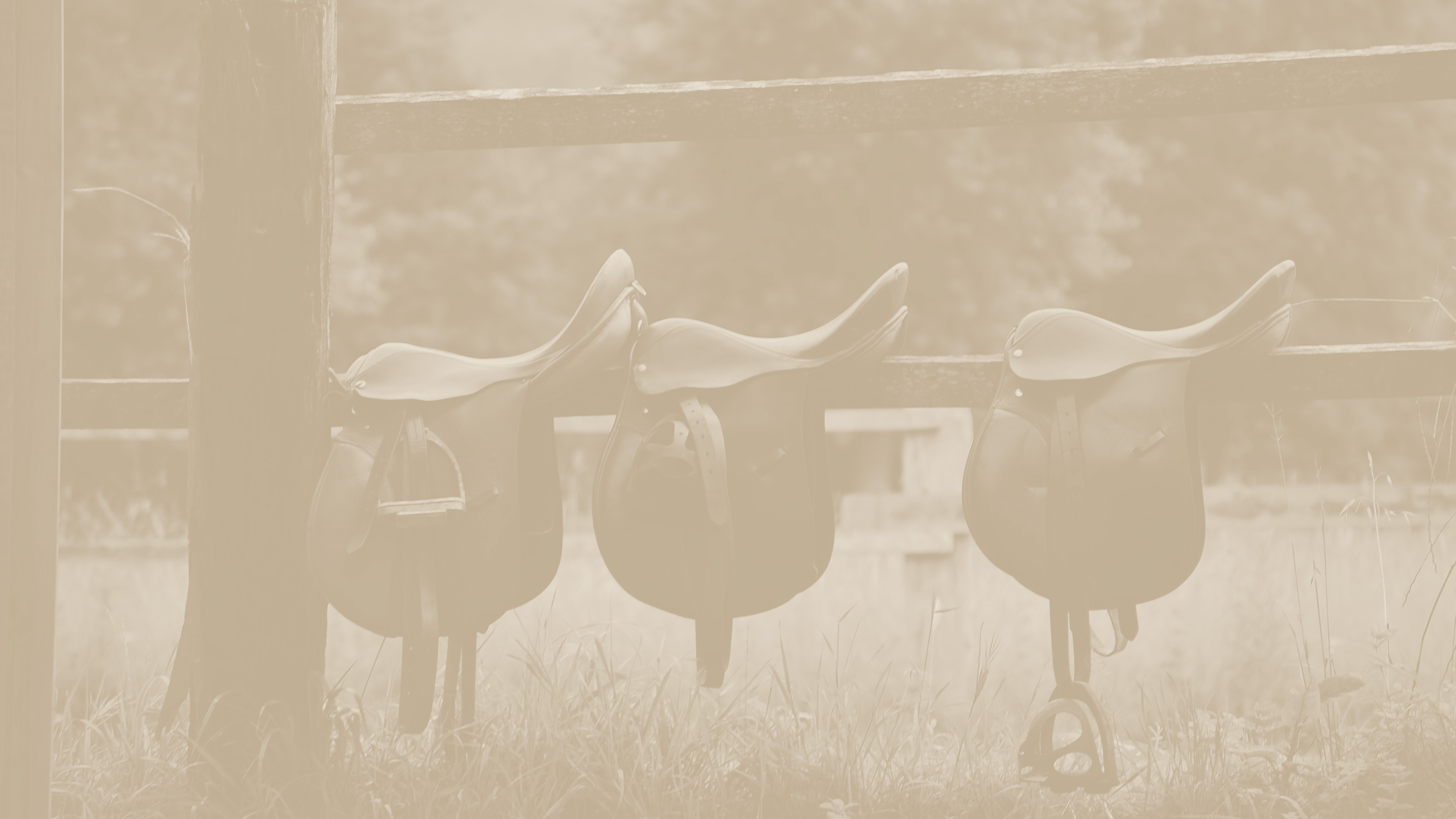 Three saddles hang on a wooden fence in a sepia-toned image, with grass and blurred trees in the background. - Wild Thyme & Honey Hotel in the Cotswolds