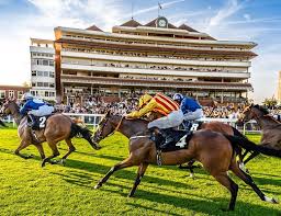 Wild Thyme and Honey - Wild Thyme & Honey Hotel in the Cotswolds