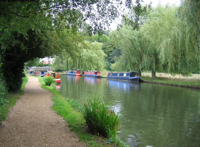 Surrey scenery - Wild Thyme & Honey Hotel in the Cotswolds