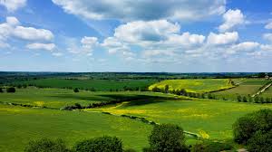 Wild Thyme and Honey - Wild Thyme & Honey Hotel in the Cotswolds