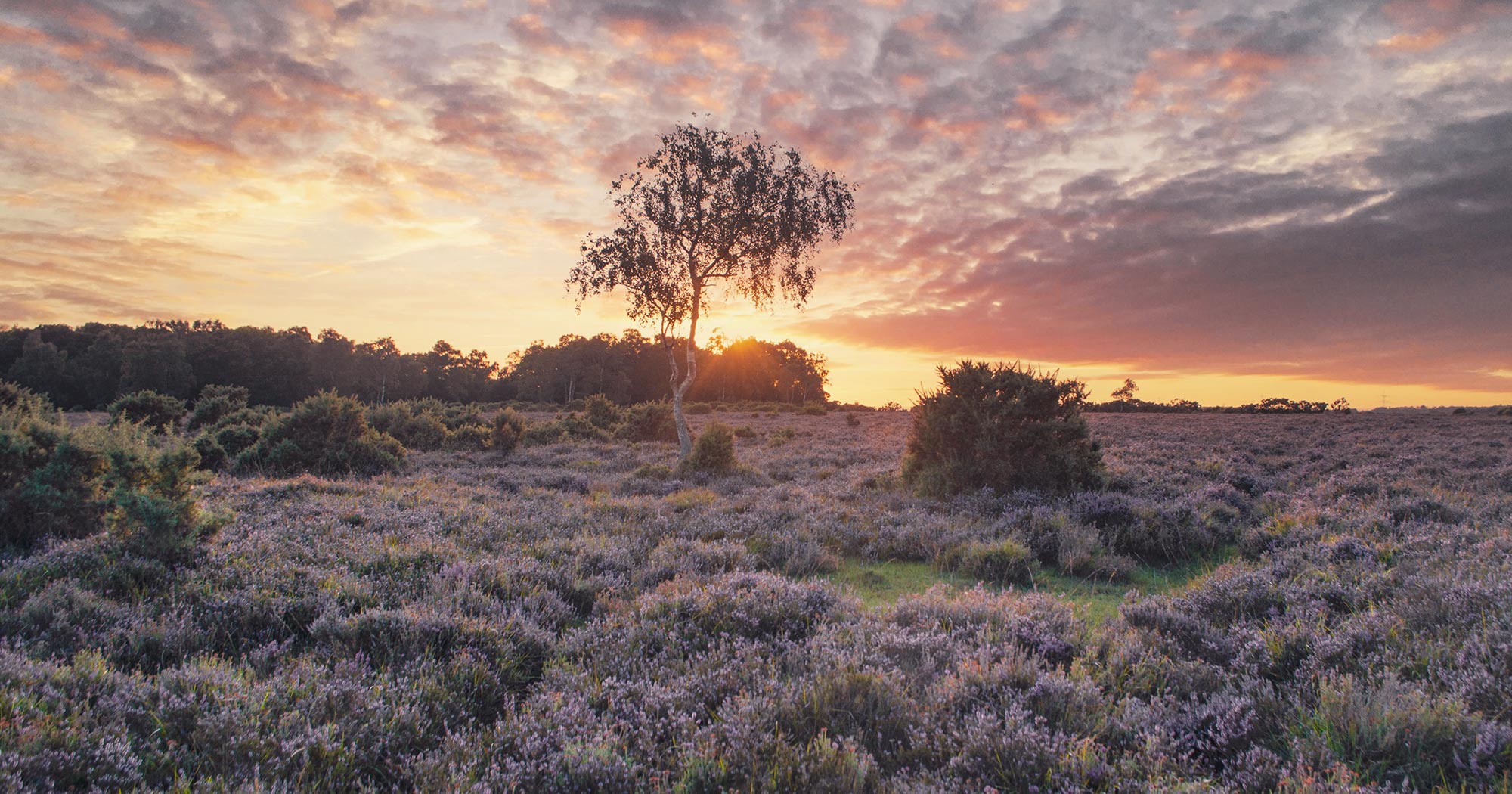 Wild Thyme and Honey - Wild Thyme & Honey Hotel in the Cotswolds