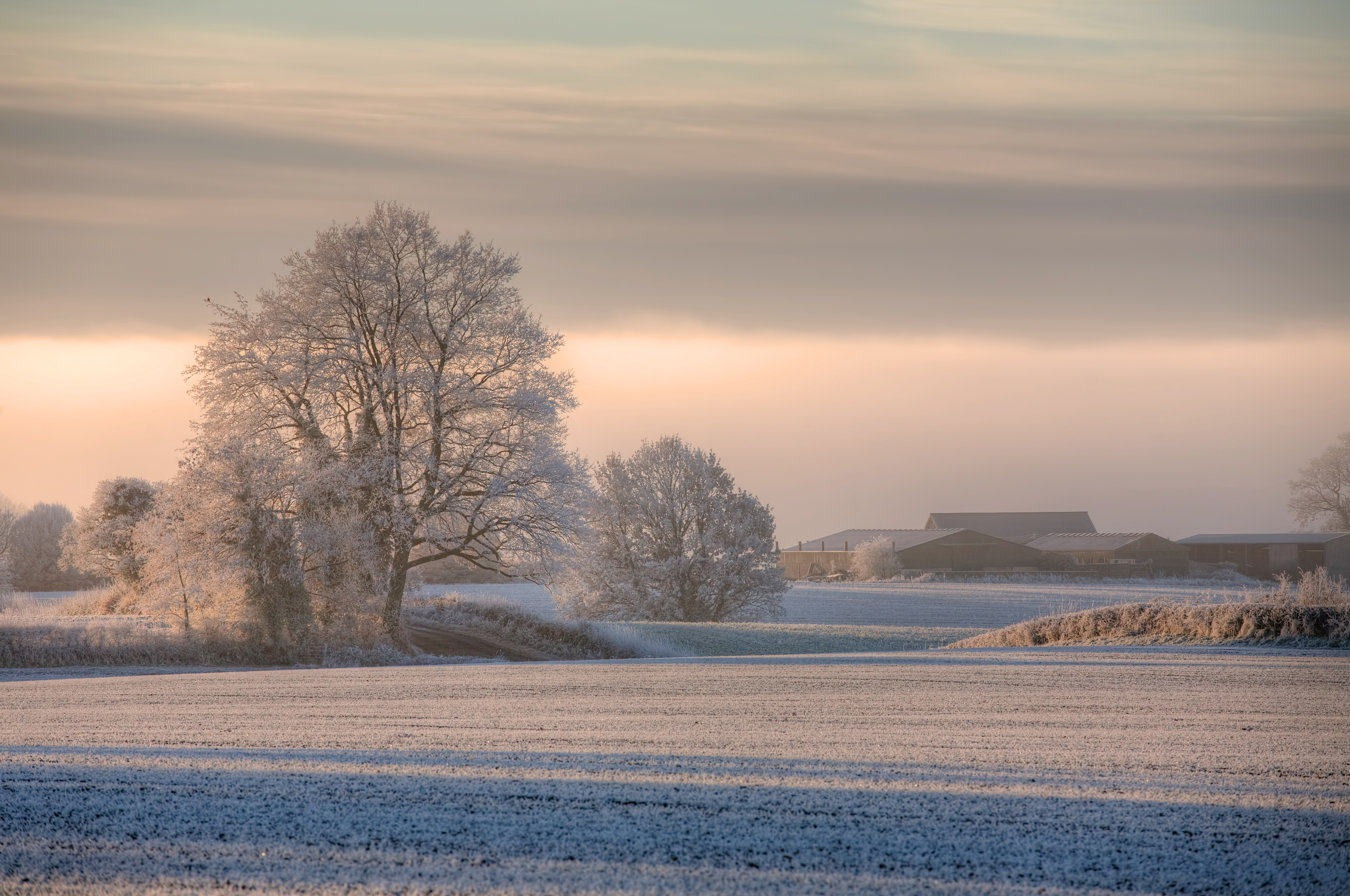 Frost-covered trees and fields at sunrise, with farm buildings in the distance under a soft sky. - Wild Thyme & Honey Hotel in the Cotswolds