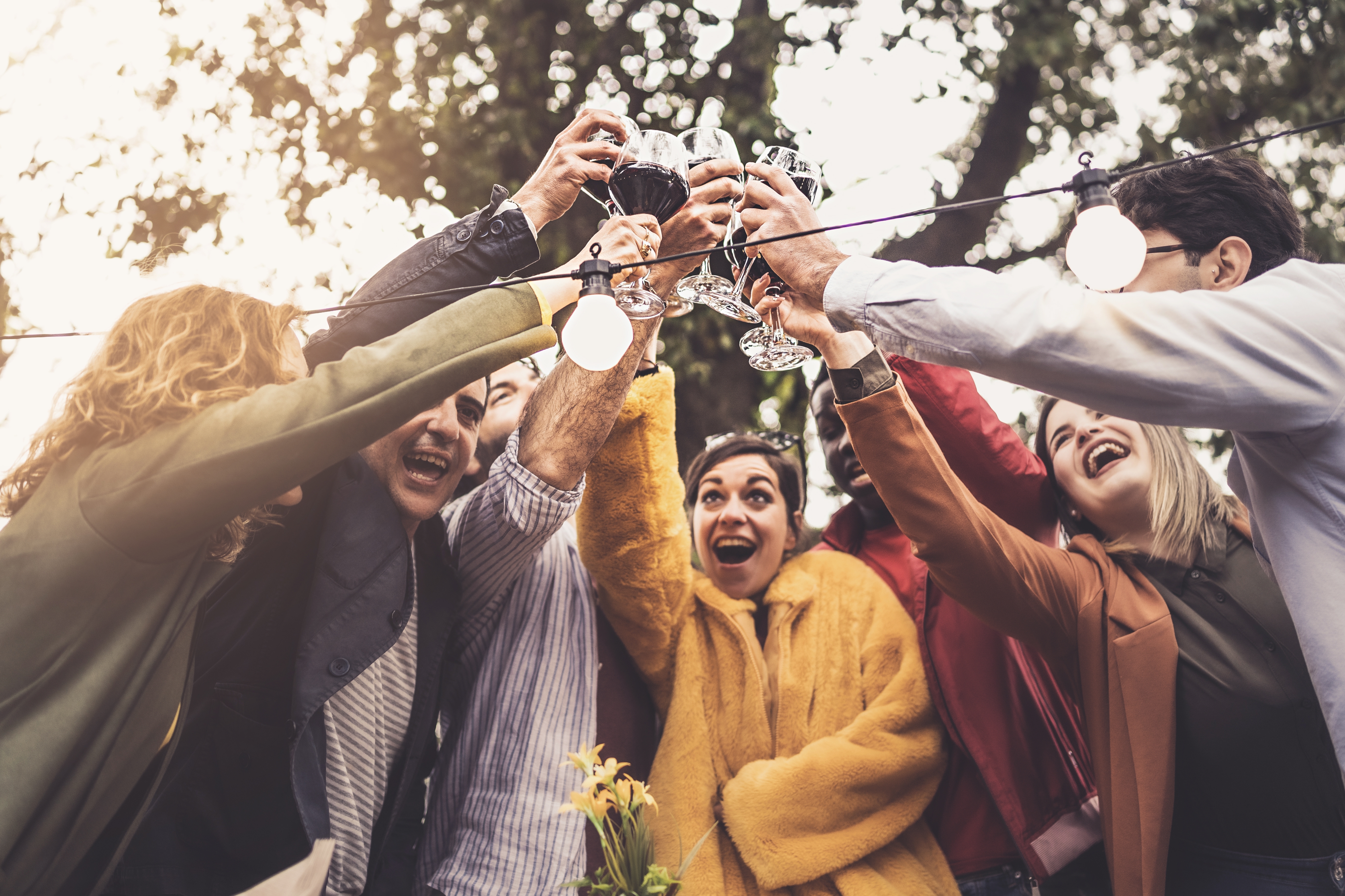 A joyful group of people toasting with drinks outdoors, surrounded by string lights and trees, celebrating together. - Wild Thyme & Honey Hotel in the Cotswolds
