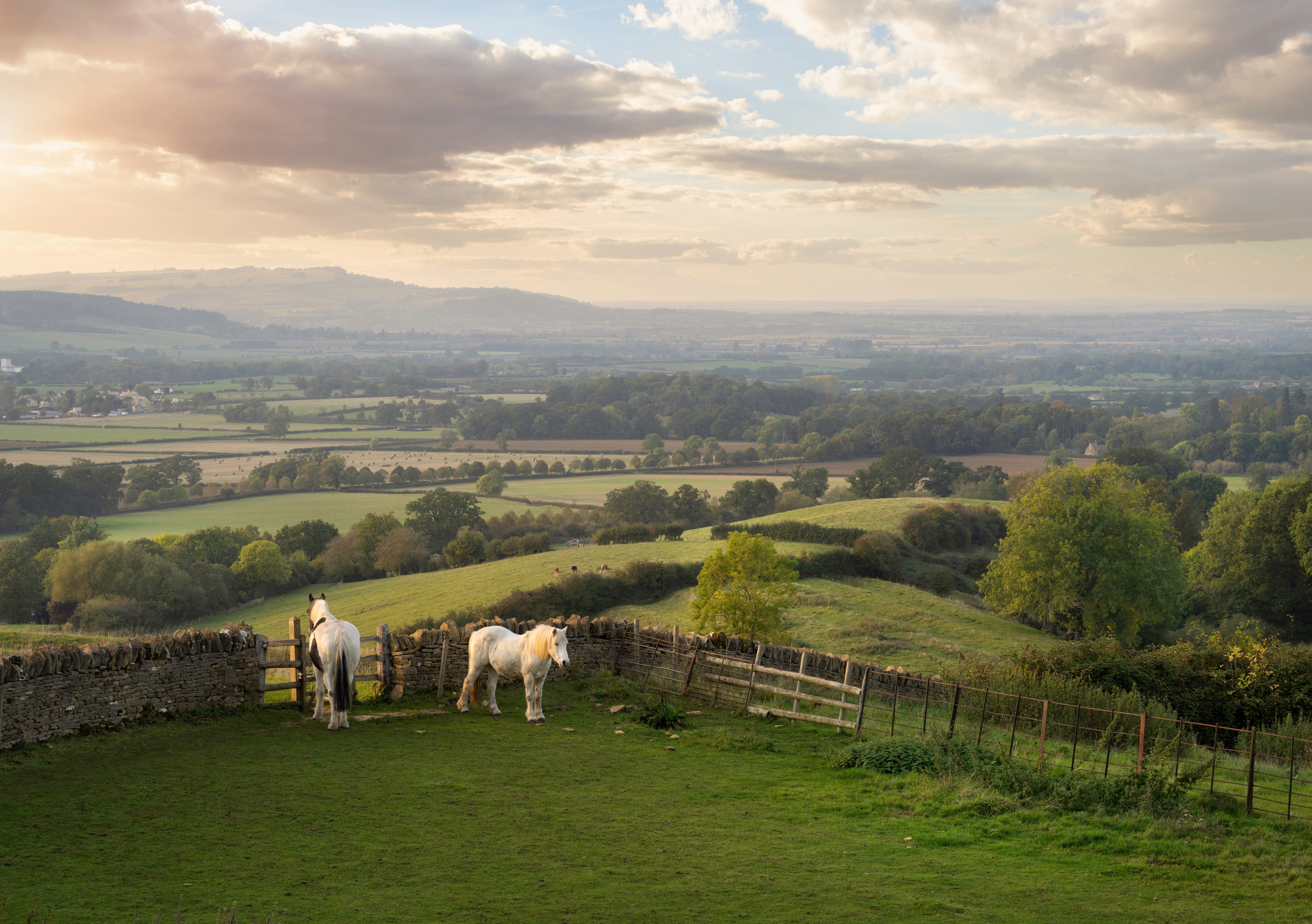 Wild Thyme and Honey - Wild Thyme & Honey Hotel in the Cotswolds