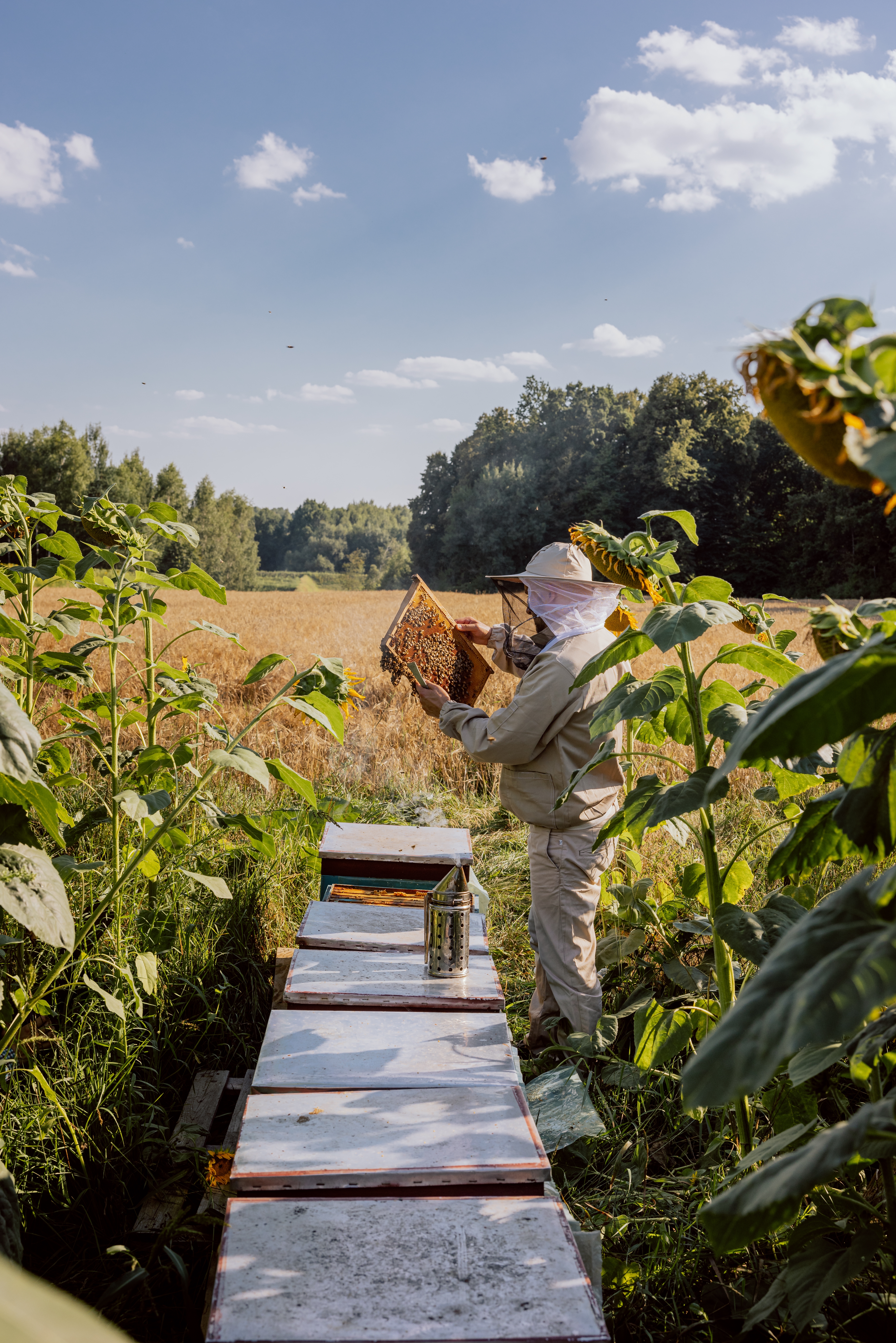 Wild Thyme and Honey - Wild Thyme & Honey Hotel in the Cotswolds