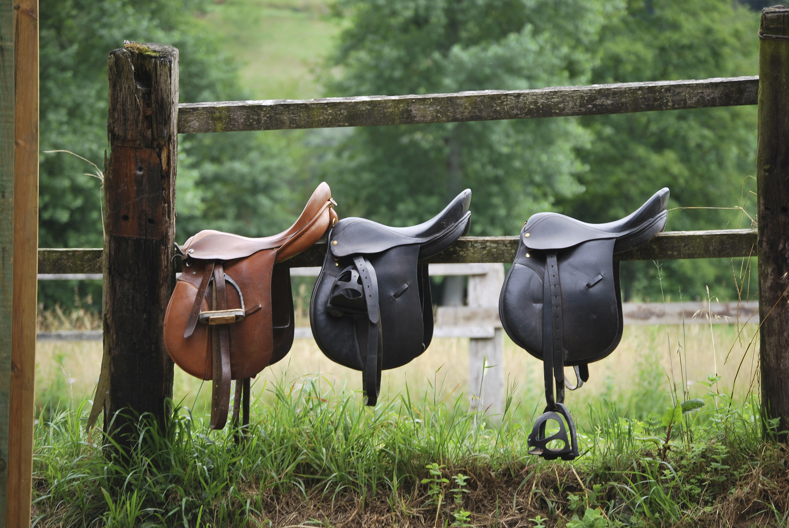 Three saddles hanging on a wooden fence with green foliage in the background. - Wild Thyme & Honey Hotel in the Cotswolds