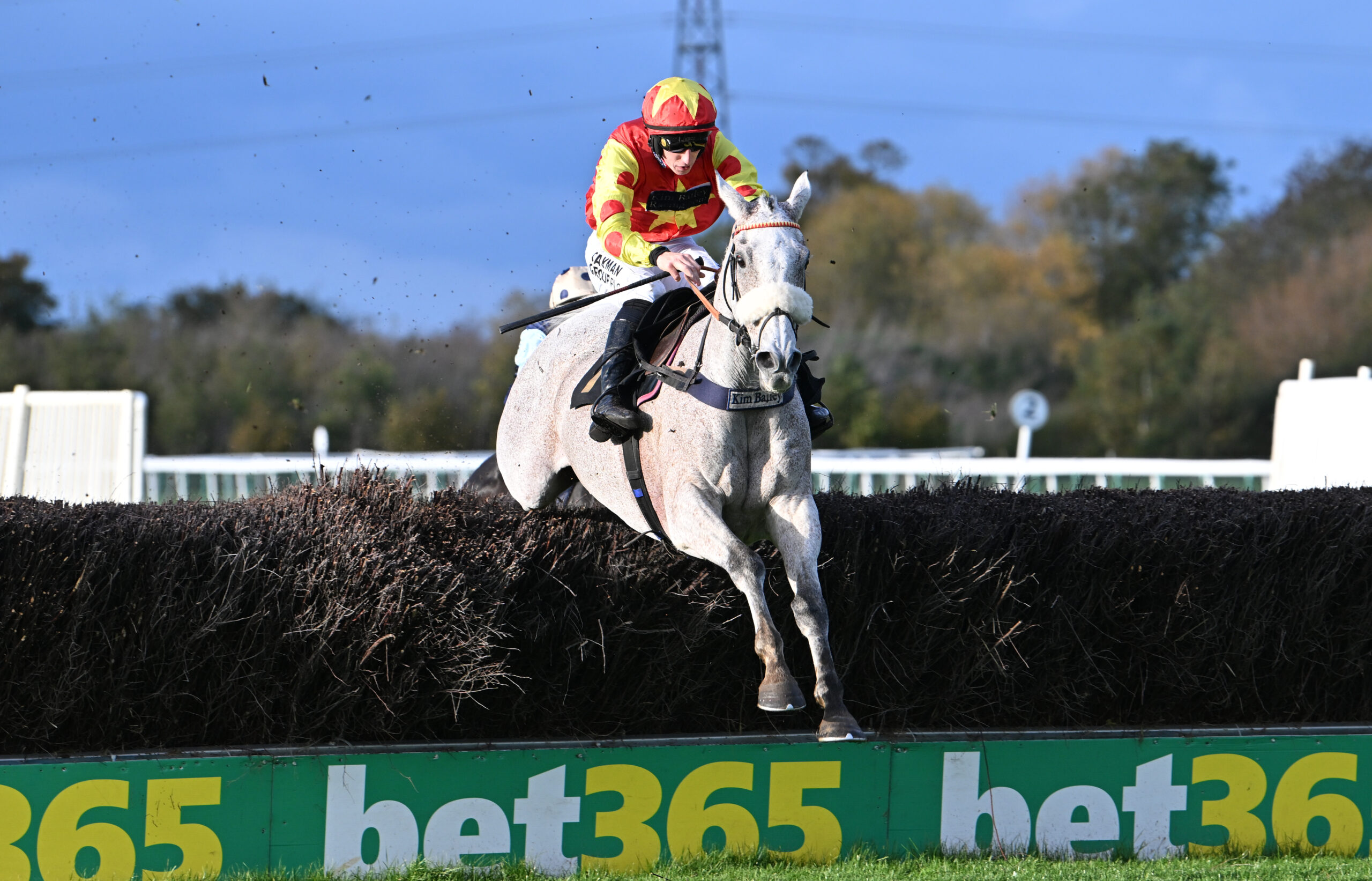 Horse and jockey in red and yellow jumping over a fence at a racecourse, with a bet365 sign in the foreground. - Wild Thyme & Honey Hotel in the Cotswolds