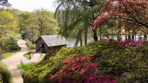 Guildford scenery - Wild Thyme & Honey Hotel in the Cotswolds